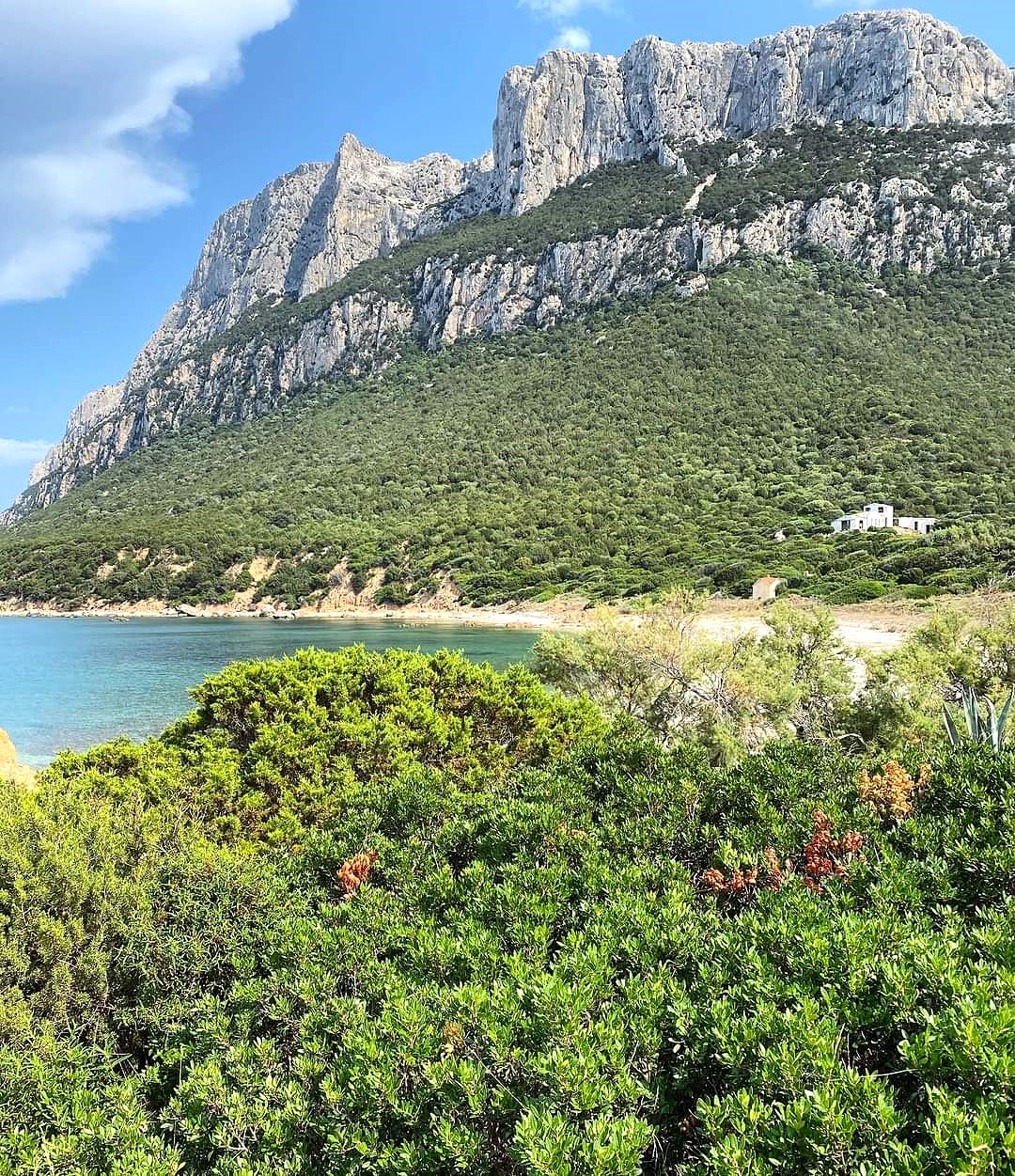 Vista panoramica di Tavolara con Fabatour, escursioni in Sardegna