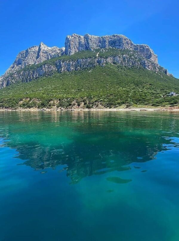 Isola di Tavolara vista mare con Fabatour, escursioni in Sardegn