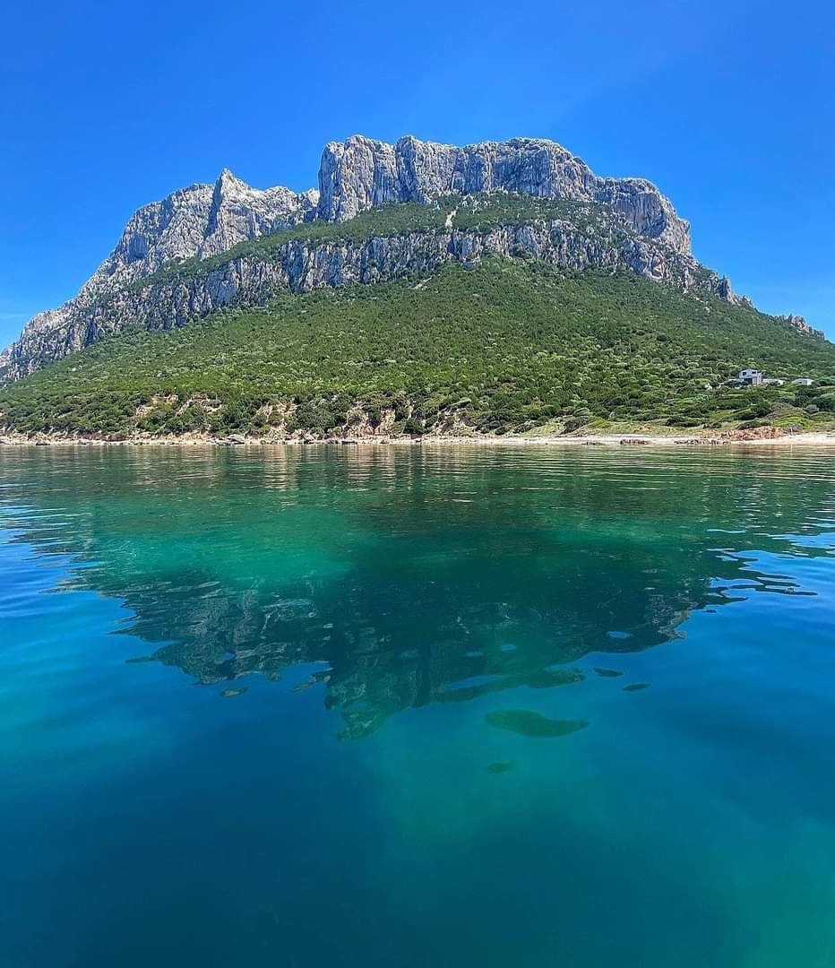 Isola di Tavolara vista mare con Fabatour, escursioni in Sardegn